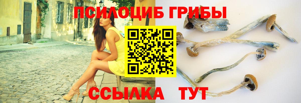 Ногинск  Псилоцибиновые грибы GOLDEN TEACHER  Вход с VPN 